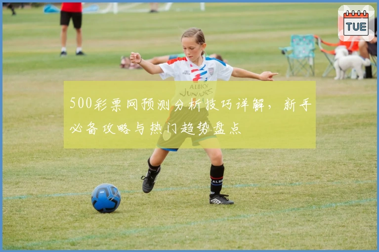 500彩票网预测分析技巧详解，新手必备攻略与热门趋势盘点