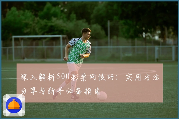 深入解析500彩票网技巧：实用方法分享与新手必备指南