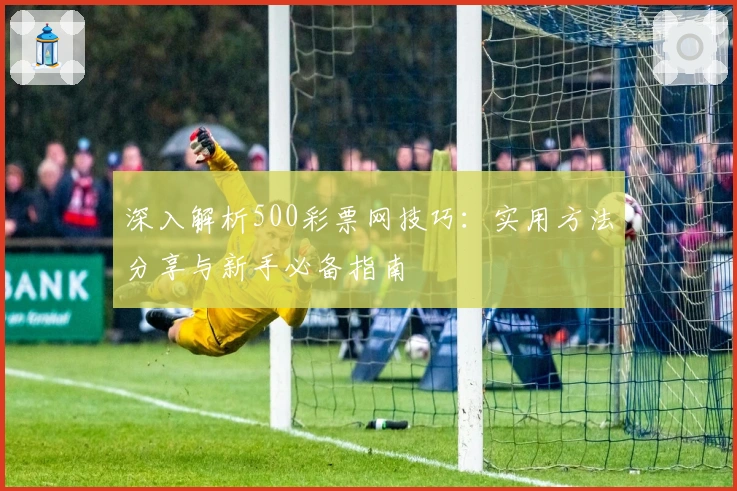 深入解析500彩票网技巧：实用方法分享与新手必备指南