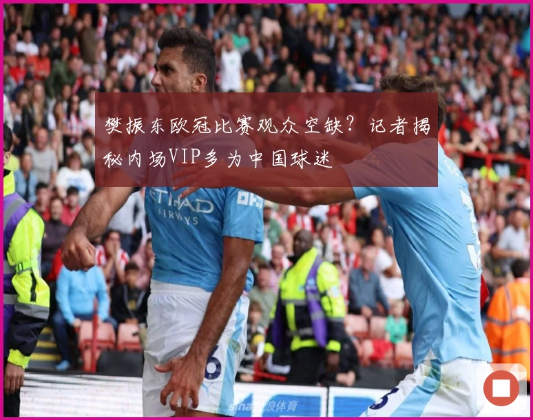 樊振东欧冠比赛观众空缺?记者揭秘内场VIP多为中国球迷