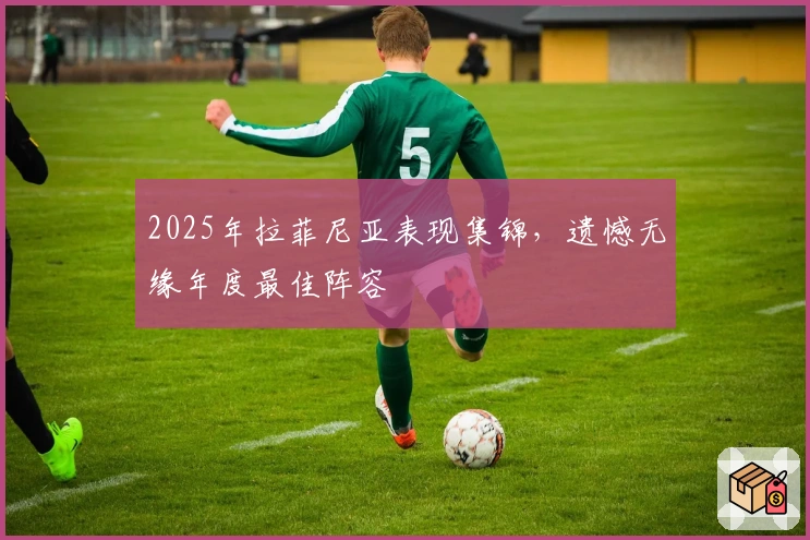 2025年拉菲尼亚表现集锦，遗憾无缘年度最佳阵容